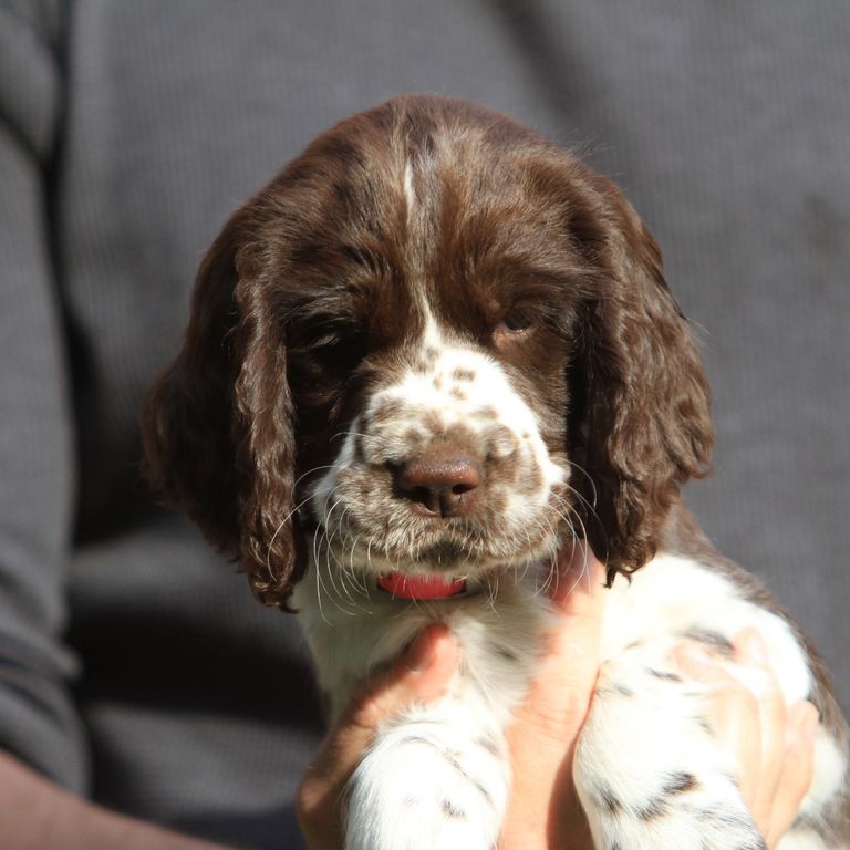 Disney mit 5 Monaten