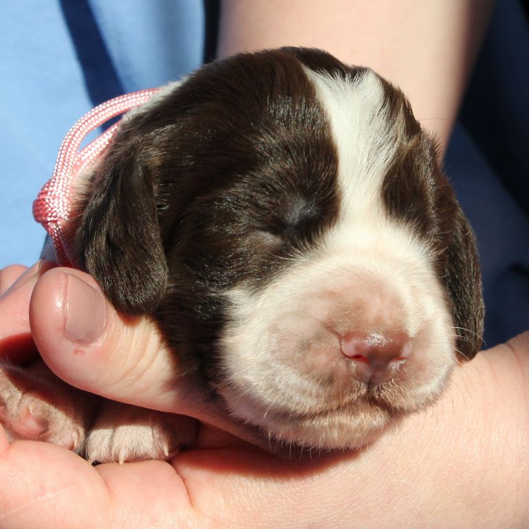 Disney mit 5 Monaten