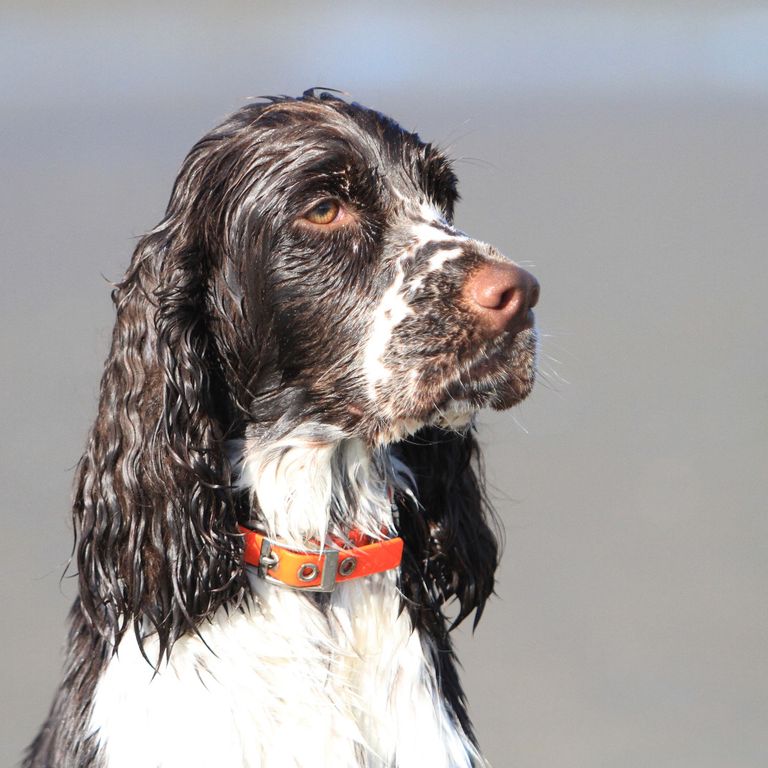 Disney mit 13 Monaten